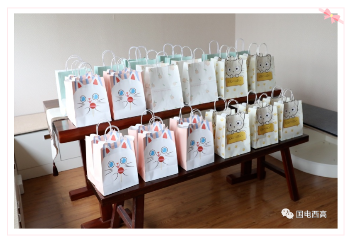 3.8 International Women’s Day 